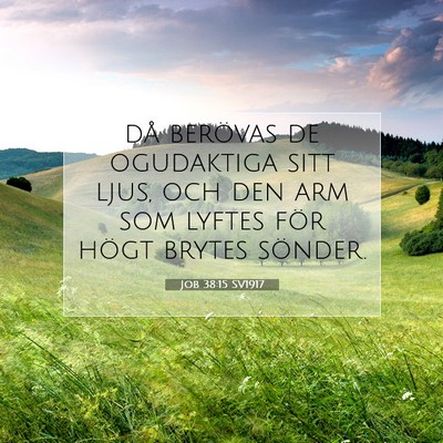 Picture 07 - Job 38:15 SV1917 - då berövas de ogudaktiga sitt ljus, och den arm - Bible Verse Picture