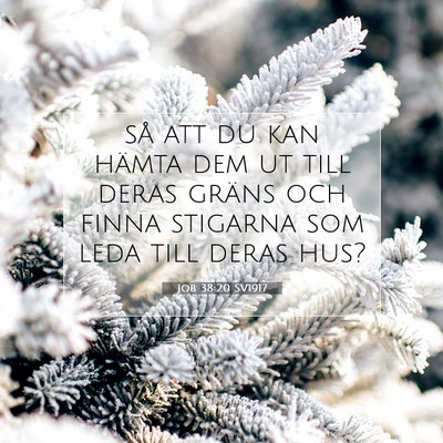Picture 07 - Job 38:20 SV1917 - så att du kan hämta dem ut till deras gräns - Bible Verse Picture