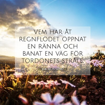 Picture 07 - Job 38:25 SV1917 - Vem har åt regnflödet öppnat en ränna och - Bible Verse Picture