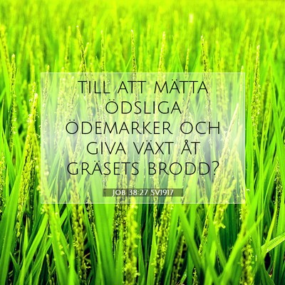 Picture 07 - Job 38:27 SV1917 - till att mätta ödsliga ödemarker och giva - Bible Verse Picture
