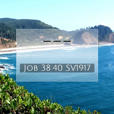 Picture 07 - Job 38:40 SV1917 -  - Bible Verse Picture