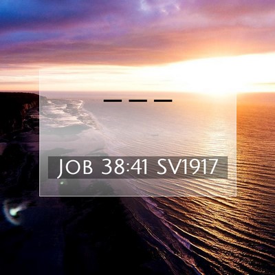 Picture 07 - Job 38:41 SV1917 -  - Bible Verse Picture