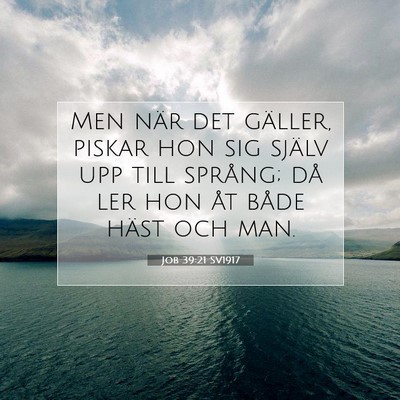 Picture 07 - Job 39:21 SV1917 - Men när det gäller, piskar hon sig själv upp - Bible Verse Picture