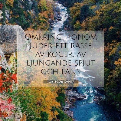 Picture 07 - Job 39:26 SV1917 - Omkring honom ljuder ett rassel av koger, av - Bible Verse Picture