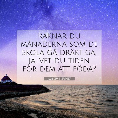 Picture 07 - Job 39:5 SV1917 - Räknar du månaderna som de skola gå dräktiga, - Bible Verse Picture