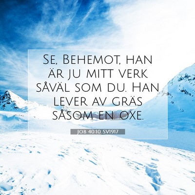 Picture 07 - Job 40:10 SV1917 - Se, Behemot, han är ju mitt verk såväl som du. - Bible Verse Picture