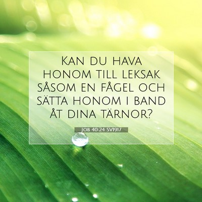 Picture 07 - Job 40:24 SV1917 - Kan du hava honom till leksak såsom en fågel - Bible Verse Picture