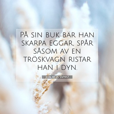 Picture 07 - Job 41:21 SV1917 - På sin buk bär han skarpa eggar, spår såsom - Bible Verse Picture
