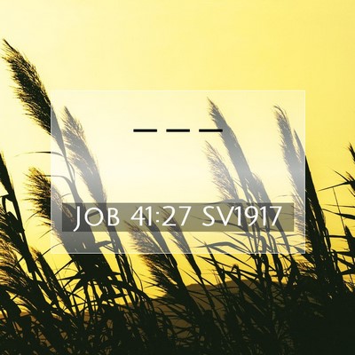 Picture 07 - Job 41:27 SV1917 -  - Bible Verse Picture