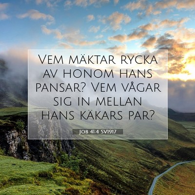 Picture 07 - Job 41:4 SV1917 - Vem mäktar rycka av honom hans pansar? Vem - Bible Verse Picture