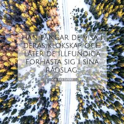 Picture 07 - Job 5:13 SV1917 - han fångar de visa i deras klokskap och låter - Bible Verse Picture