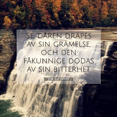 Picture 07 - Job 5:2 SV1917 - Se, dåren dräpes av sin grämelse, och den - Bible Verse Picture