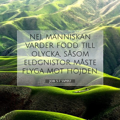 Picture 07 - Job 5:7 SV1917 - nej, människan varder född till olycka, såsom - Bible Verse Picture