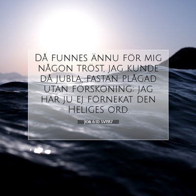 Picture 07 - Job 6:10 SV1917 - Då funnes ännu för mig någon tröst, jag - Bible Verse Picture