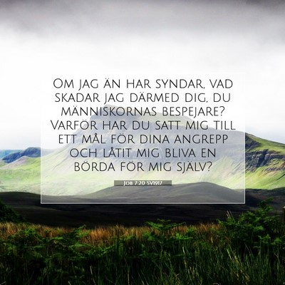 Picture 07 - Job 7:20 SV1917 - Om jag än har syndar, vad skadar jag därmed - Bible Verse Picture