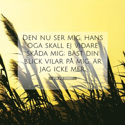 Picture 07 - Job 7:8 SV1917 - Den nu ser mig, hans öga skall ej vidare skåda - Bible Verse Picture