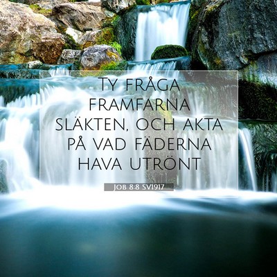 Picture 07 - Job 8:8 SV1917 - Ty fråga framfarna släkten, och akta på vad - Bible Verse Picture