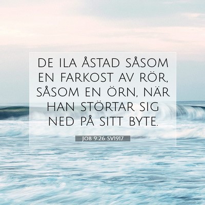 Picture 07 - Job 9:26 SV1917 - de ila åstad såsom en farkost av rör, såsom - Bible Verse Picture