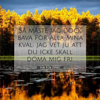 Picture 07 - Job 9:28 SV1917 - Så måste jag dock bäva för alla mina kval; - Bible Verse Picture