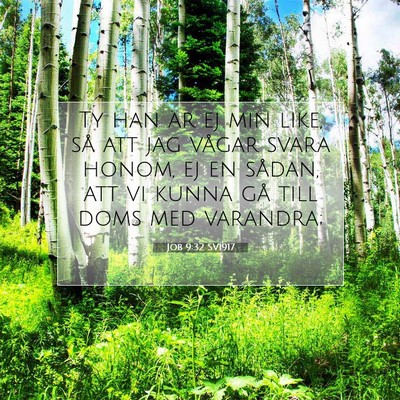 Picture 07 - Job 9:32 SV1917 - Ty han är ej min like, så att jag vågar svara - Bible Verse Picture