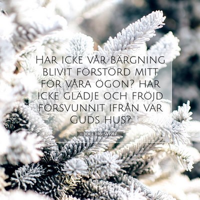 Picture 07 - Joel 1:16 SV1917 - Har icke vår bärgning blivit förstörd mitt - Bible Verse Picture