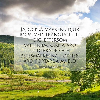 Picture 07 - Joel 1:20 SV1917 - Ja, också markens djur ropa med trängtan till - Bible Verse Picture
