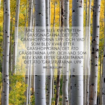 Picture 07 - Joel 1:4 SV1917 - Vad som blev kvar efter gräsgnagarna, det åto - Bible Verse Picture