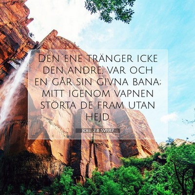Picture 07 - Joel 2:8 SV1917 - Den ene tränger icke den andre, var och en går - Bible Verse Picture
