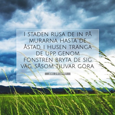 Picture 07 - Joel 2:9 SV1917 - I staden rusa de in på murarna hasta de åstad, - Bible Verse Picture