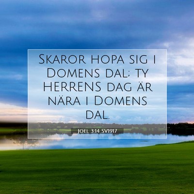 Picture 07 - Joel 3:14 SV1917 - Skaror hopa sig i Domens dal; ty HERRENS dag är - Bible Verse Picture