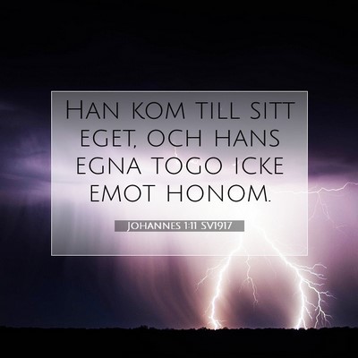 Picture 07 - Johannes 1:11 SV1917 - Han kom till sitt eget, och hans egna togo icke - Bible Verse Picture