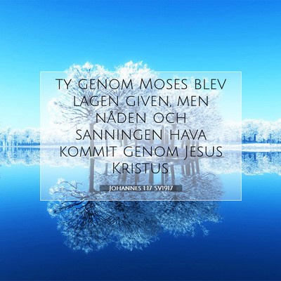 Picture 07 - Johannes 1:17 SV1917 - ty genom Moses blev lagen given, men nåden och - Bible Verse Picture
