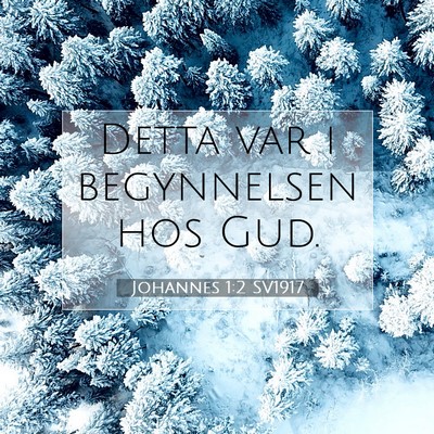 Picture 07 - Johannes 1:2 SV1917 - Detta var i begynnelsen hos - Bible Verse Picture
