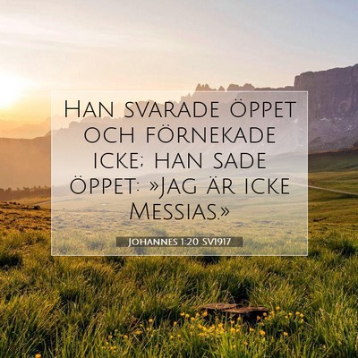 Picture 07 - Johannes 1:20 SV1917 - Han svarade öppet och förnekade icke; han sade - Bible Verse Picture