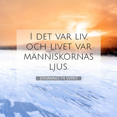 Picture 07 - Johannes 1:4 SV1917 - I det var liv, och livet var människornas - Bible Verse Picture