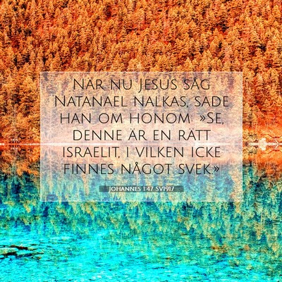 Picture 07 - Johannes 1:47 SV1917 - När nu Jesus såg Natanael nalkas, sade han om - Bible Verse Picture