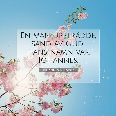 Picture 07 - Johannes 1:6 SV1917 - En man uppträdde, sänd av Gud; hans namn var - Bible Verse Picture