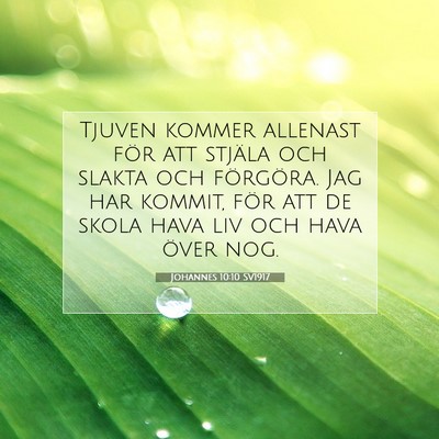 Picture 07 - Johannes 10:10 SV1917 - Tjuven kommer allenast för att stjäla och - Bible Verse Picture
