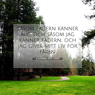 Picture 07 - Johannes 10:15 SV1917 - såsom Fadern känner mig, och såsom jag känner - Bible Verse Picture