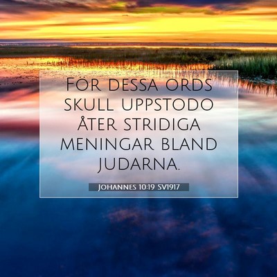 Picture 07 - Johannes 10:19 SV1917 - För dessa ords skull uppstodo åter stridiga - Bible Verse Picture
