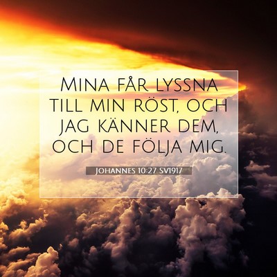 Picture 07 - Johannes 10:27 SV1917 - Mina får lyssna till min röst, och jag känner - Bible Verse Picture