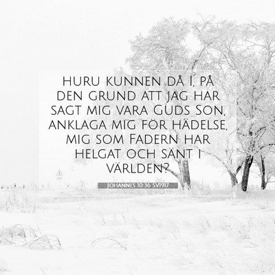 Picture 07 - Johannes 10:36 SV1917 - huru kunnen då I, på den grund att jag har sagt - Bible Verse Picture