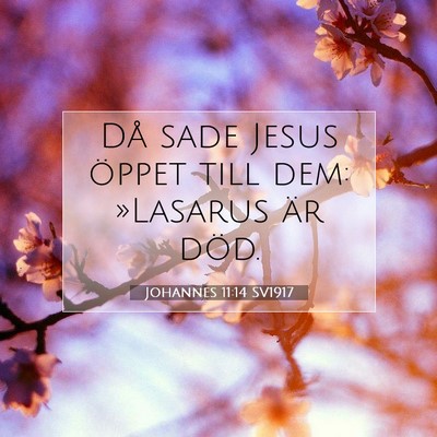 Picture 07 - Johannes 11:14 SV1917 - Då sade Jesus öppet till dem: »Lasarus är - Bible Verse Picture