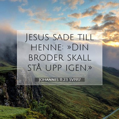 Picture 07 - Johannes 11:23 SV1917 - Jesus sade till henne: »Din broder skall stå - Bible Verse Picture