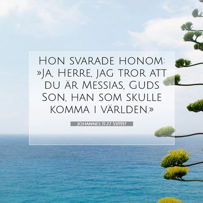 Picture 07 - Johannes 11:27 SV1917 - Hon svarade honom: »Ja, Herre, jag tror att du - Bible Verse Picture