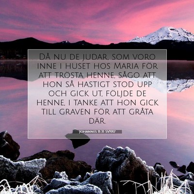 Picture 07 - Johannes 11:31 SV1917 - Då nu de judar, som voro inne i huset hos Maria - Bible Verse Picture