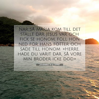 Picture 07 - Johannes 11:32 SV1917 - När så Maria kom till det ställe där Jesus - Bible Verse Picture