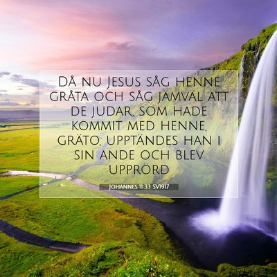Picture 07 - Johannes 11:33 SV1917 - Då nu Jesus såg henne gråta och såg jämväl - Bible Verse Picture