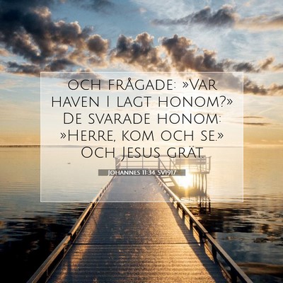 Picture 07 - Johannes 11:34 SV1917 - och frågade: »Var haven I lagt honom?» De - Bible Verse Picture