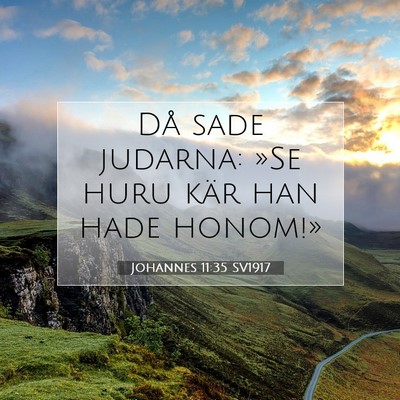 Picture 07 - Johannes 11:35 SV1917 - Då sade judarna: »Se huru kär han hade - Bible Verse Picture